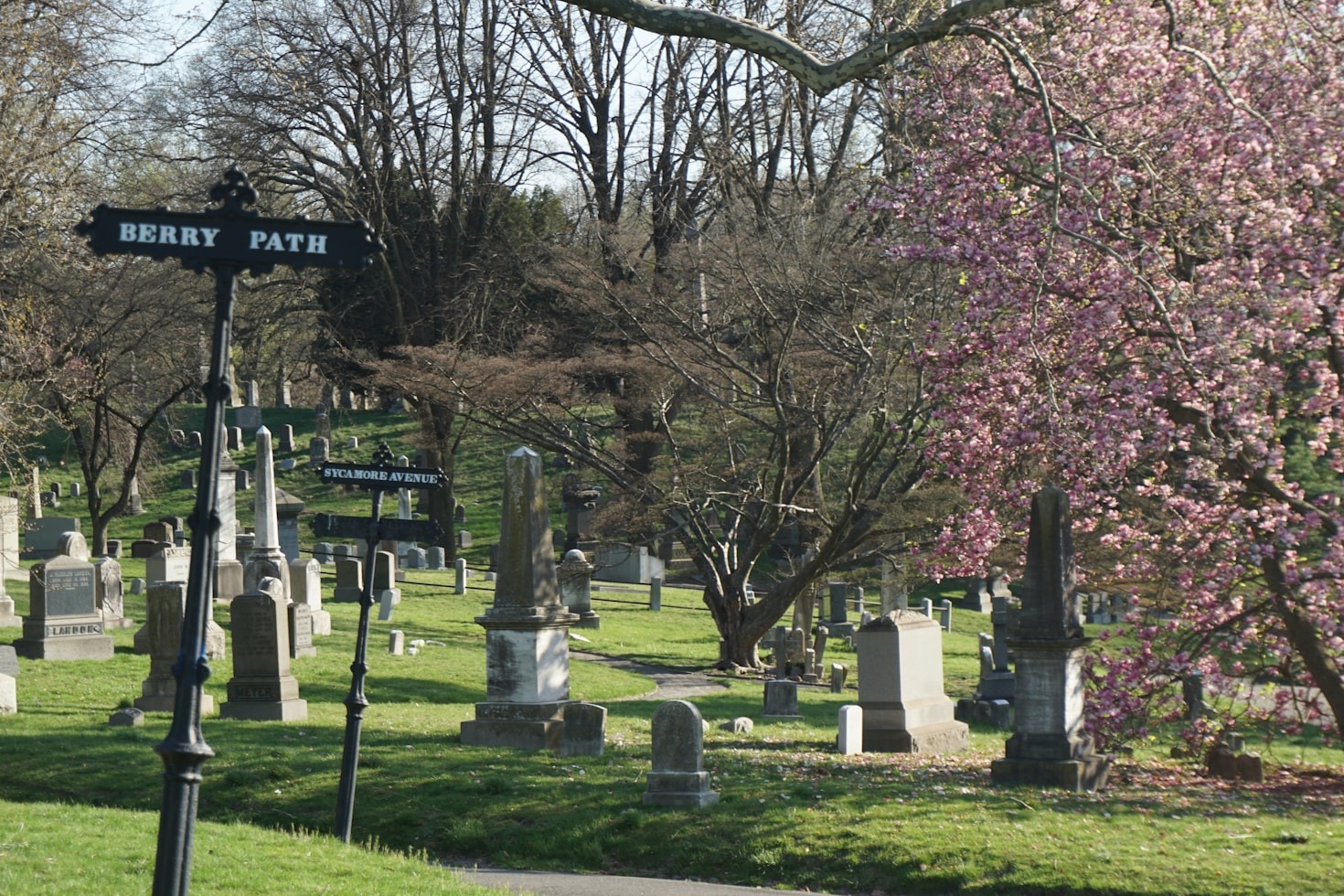 Histórias de Sucesso na Inovação Funerária